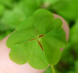 You are your own luck