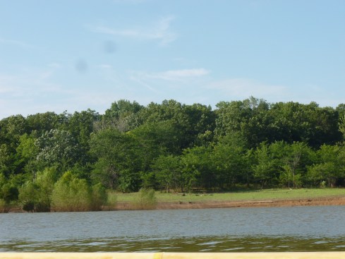 67322977_355675761749191_7650966037134835712_n